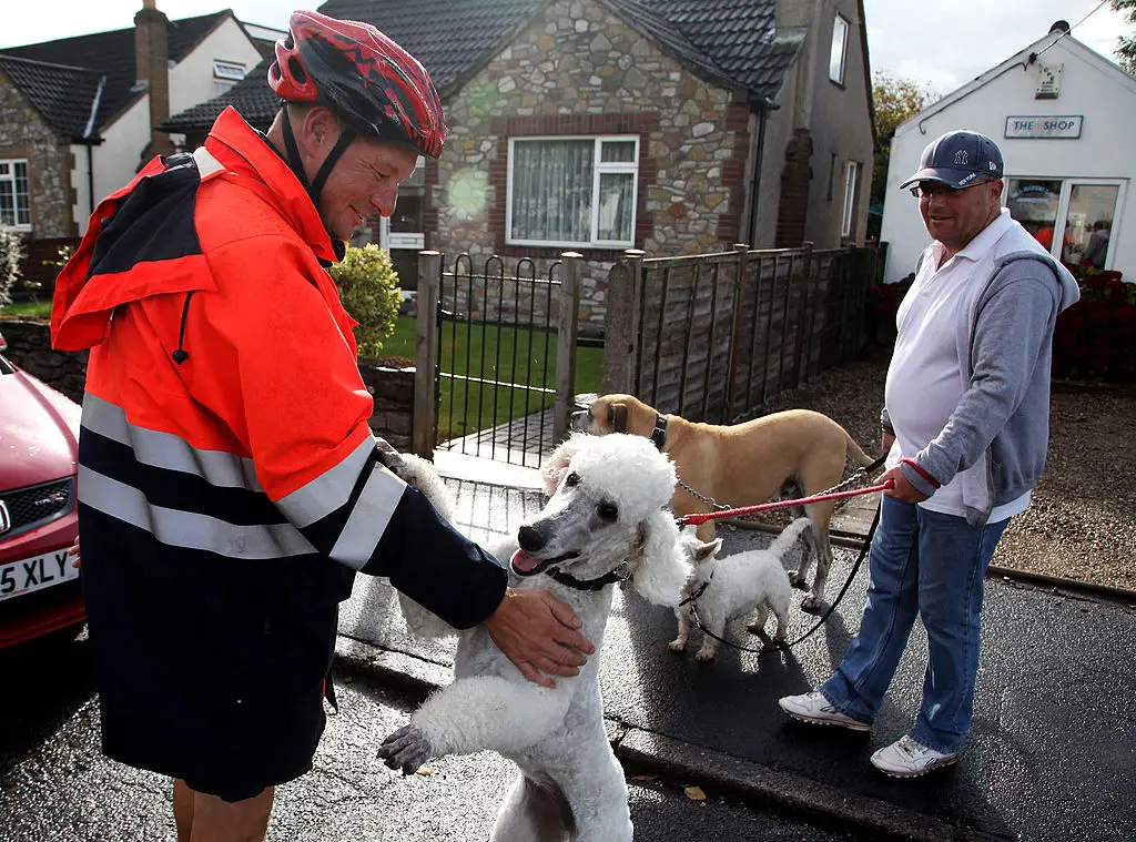 Not every interaction between dog and postie is this friendly (Matt Cardy/Getty Images)