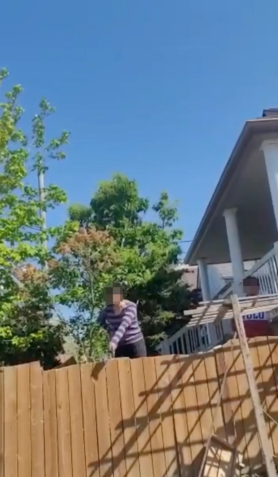 The cameraman was shocked by his nasty neighbours.