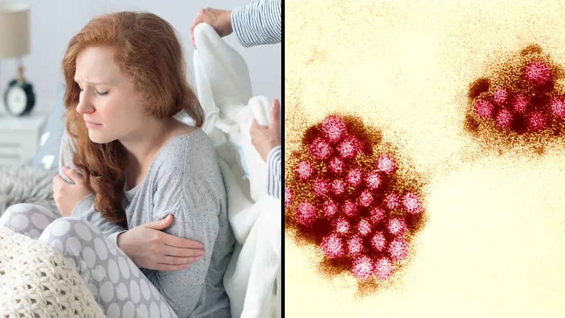 Getty Stock Images / BSIP / UIG Via Getty Images