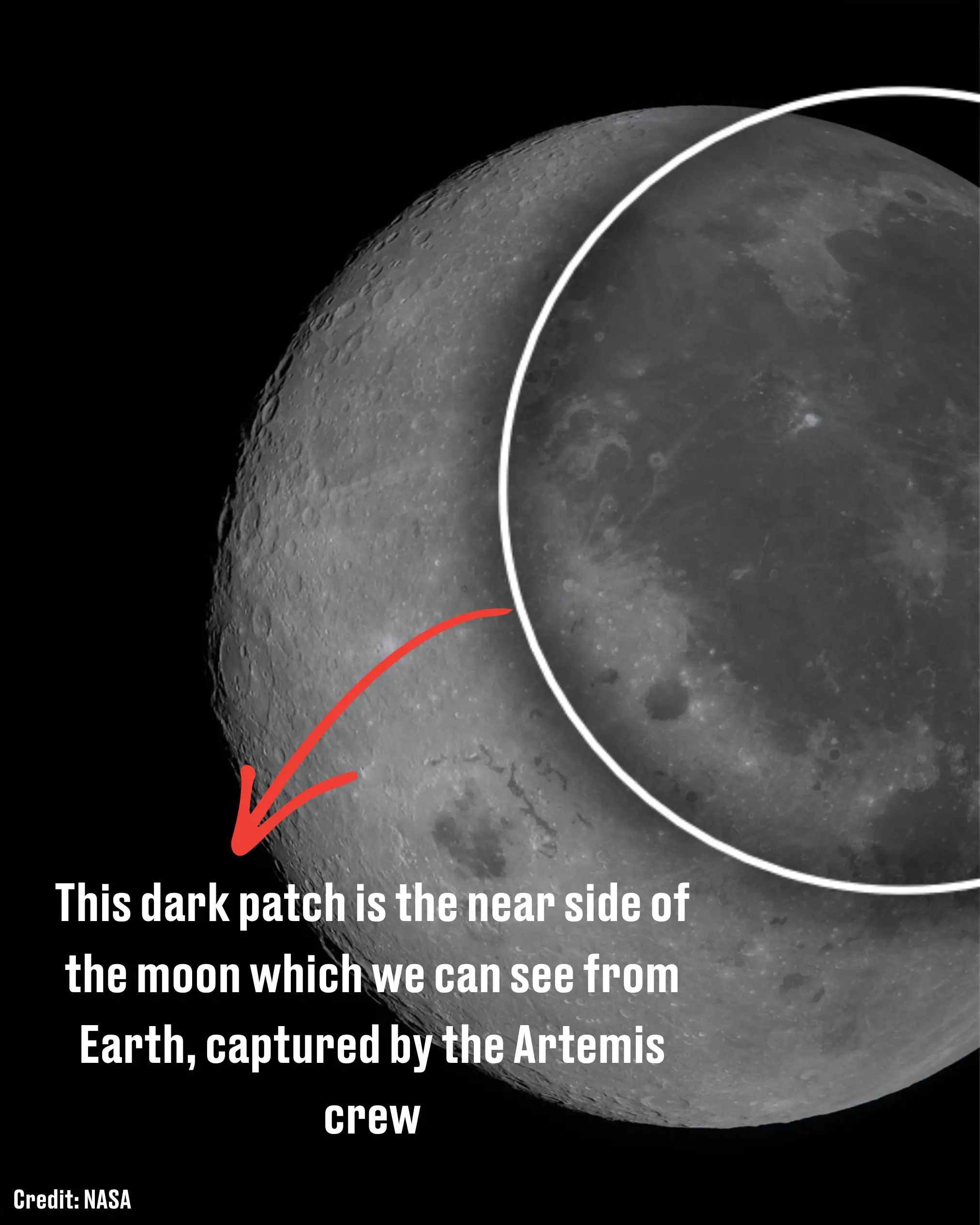 They've had some pretty spectacular sights (LADbible)