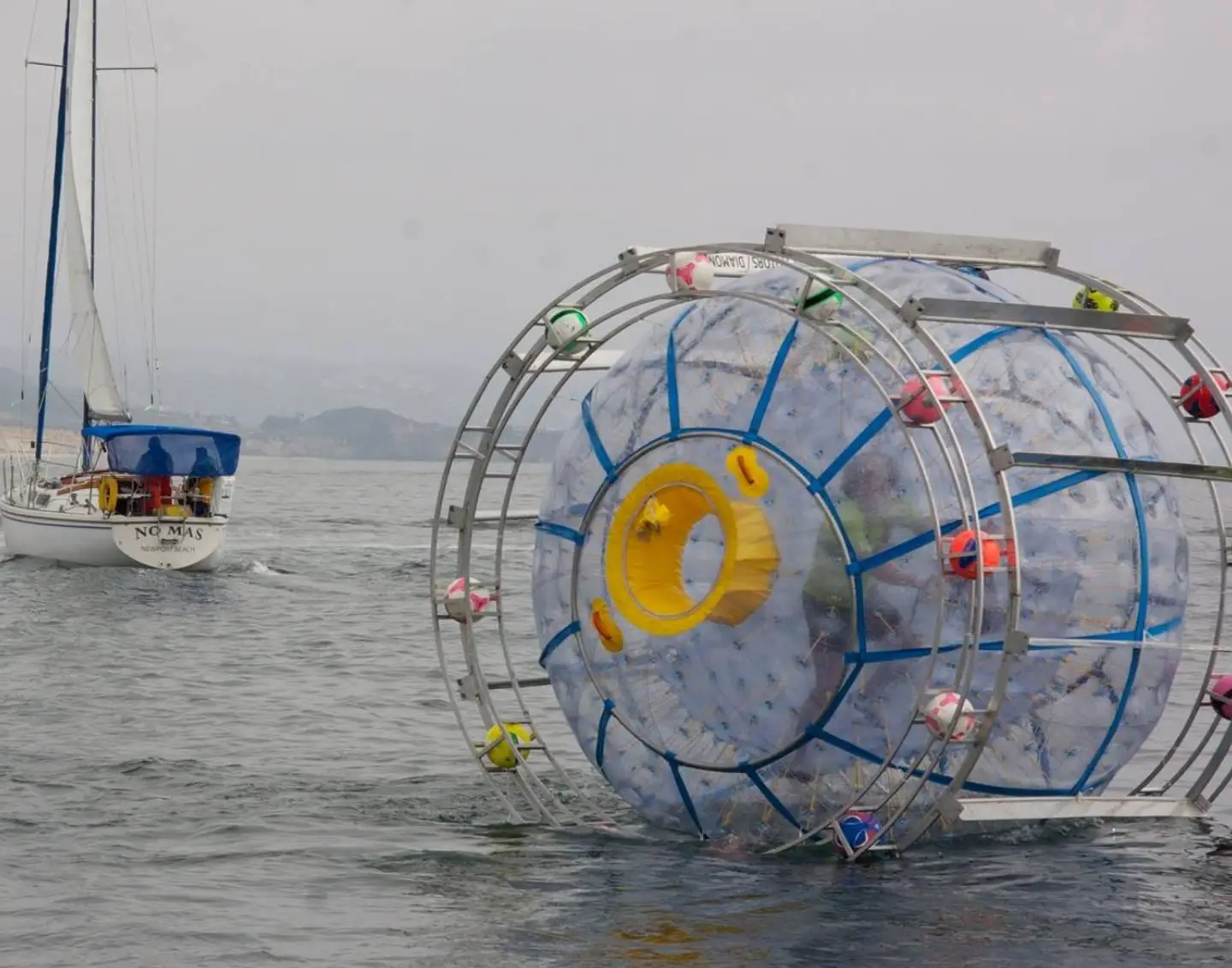 Baluchi definitely isn't a quitter.