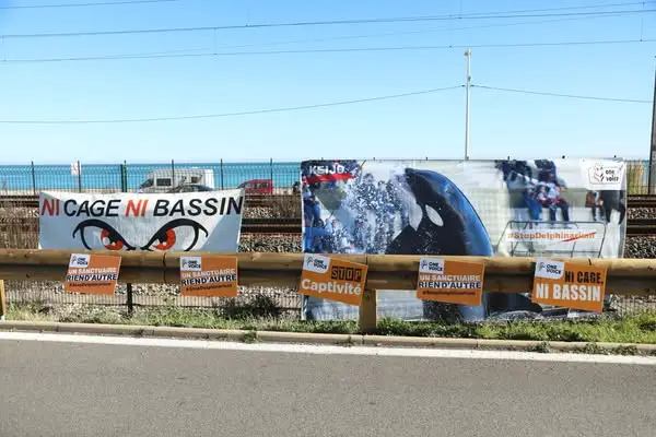 The best outcome is for them to be transferred to Nova Scotia (Mohamad Salaheldin Abdelg Alsayed/Anadolu via Getty Images)