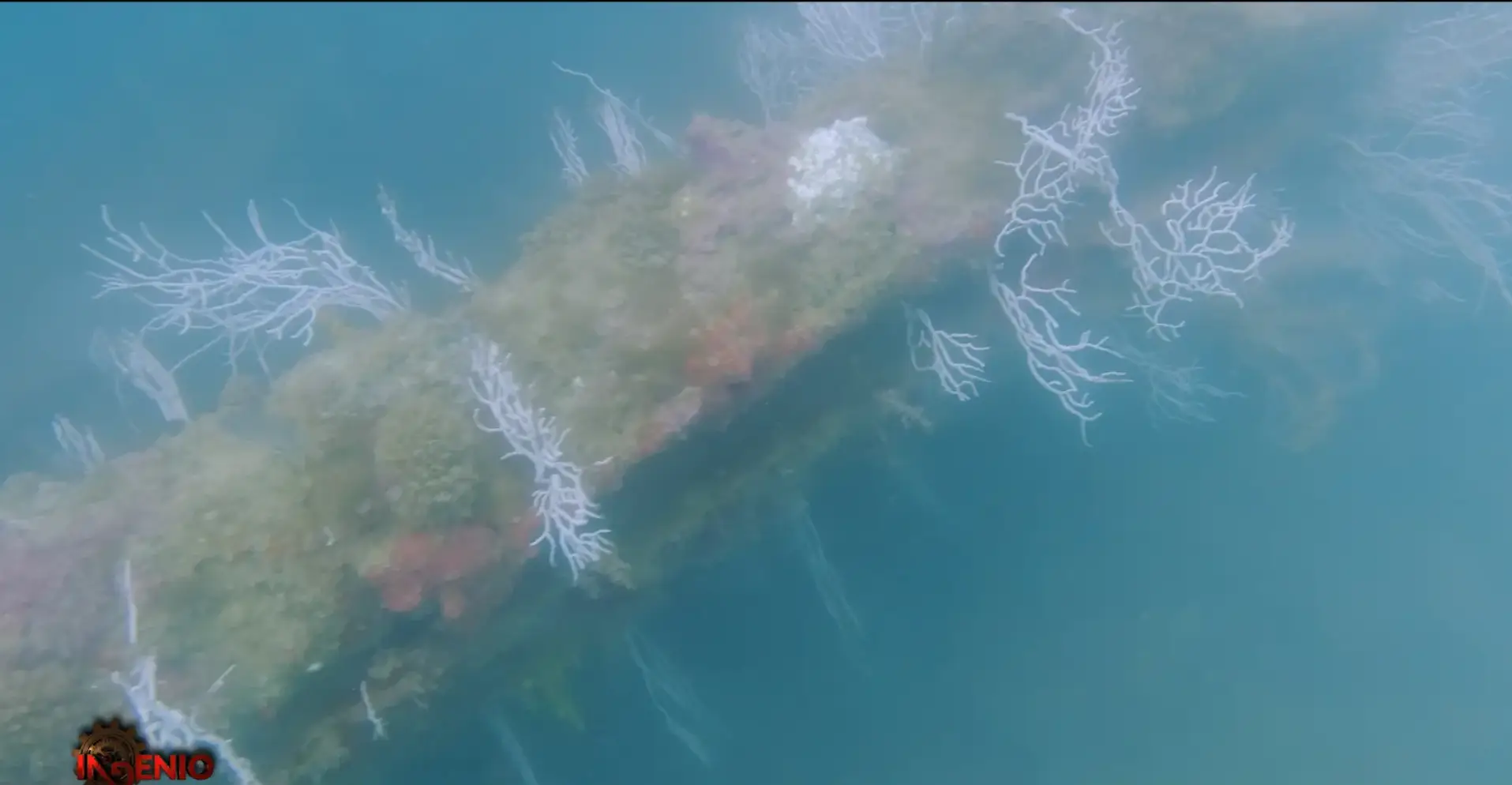 He says the lost city is real and what he found under the sea proves it (Ingenio Films)