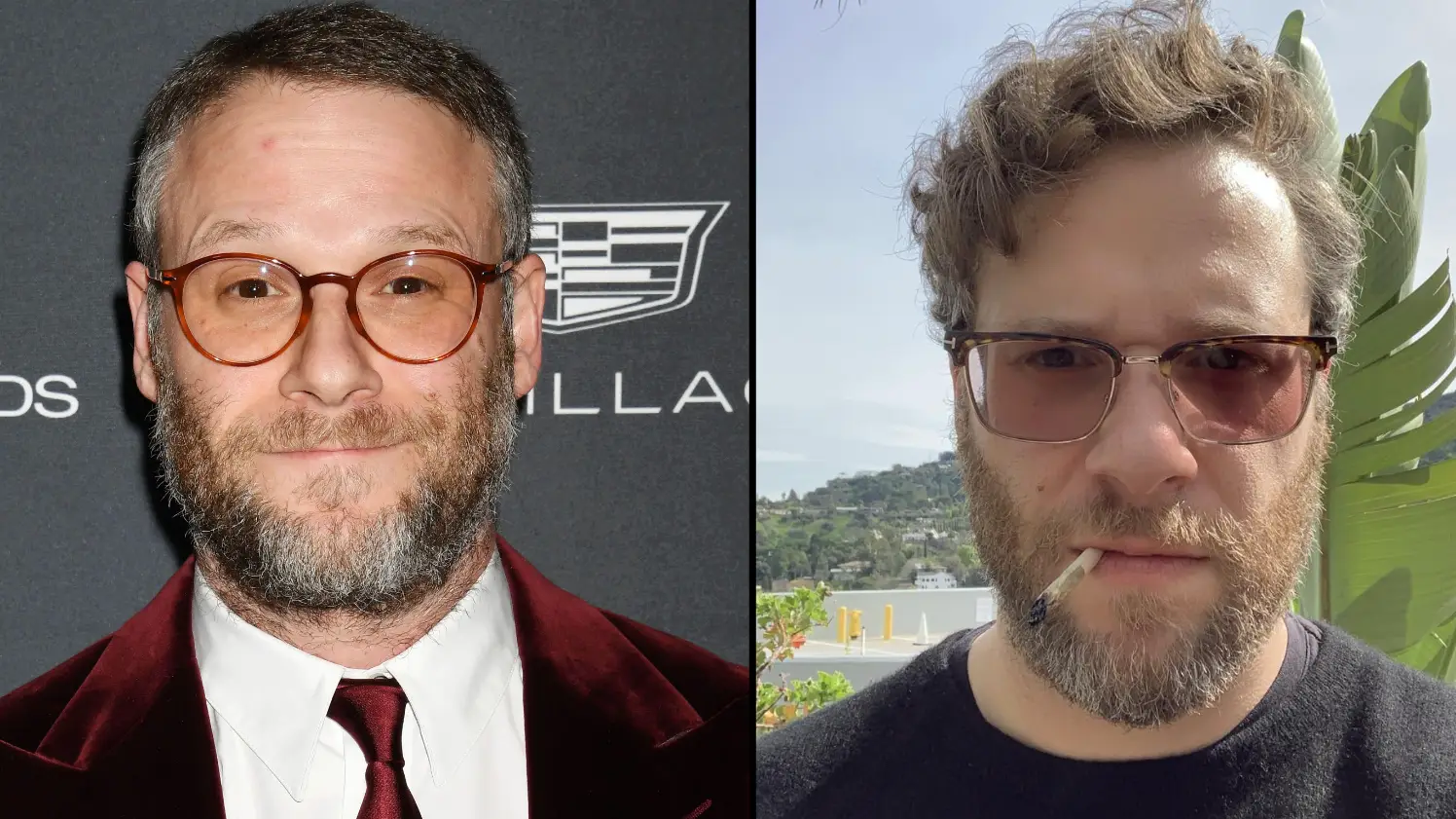 MediaPunch Inc / Alamy / Instagram/SethRogen