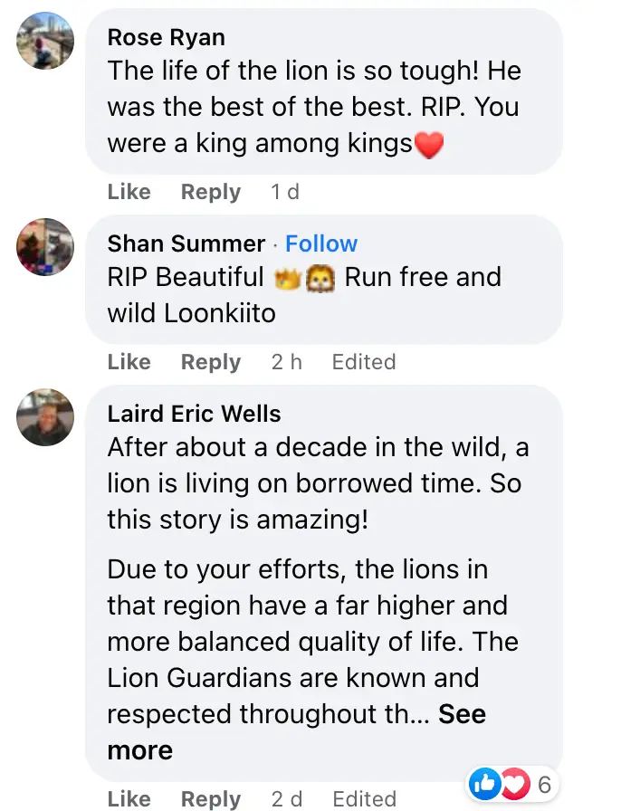 Tributes reigned in for the 19-year-old lion.