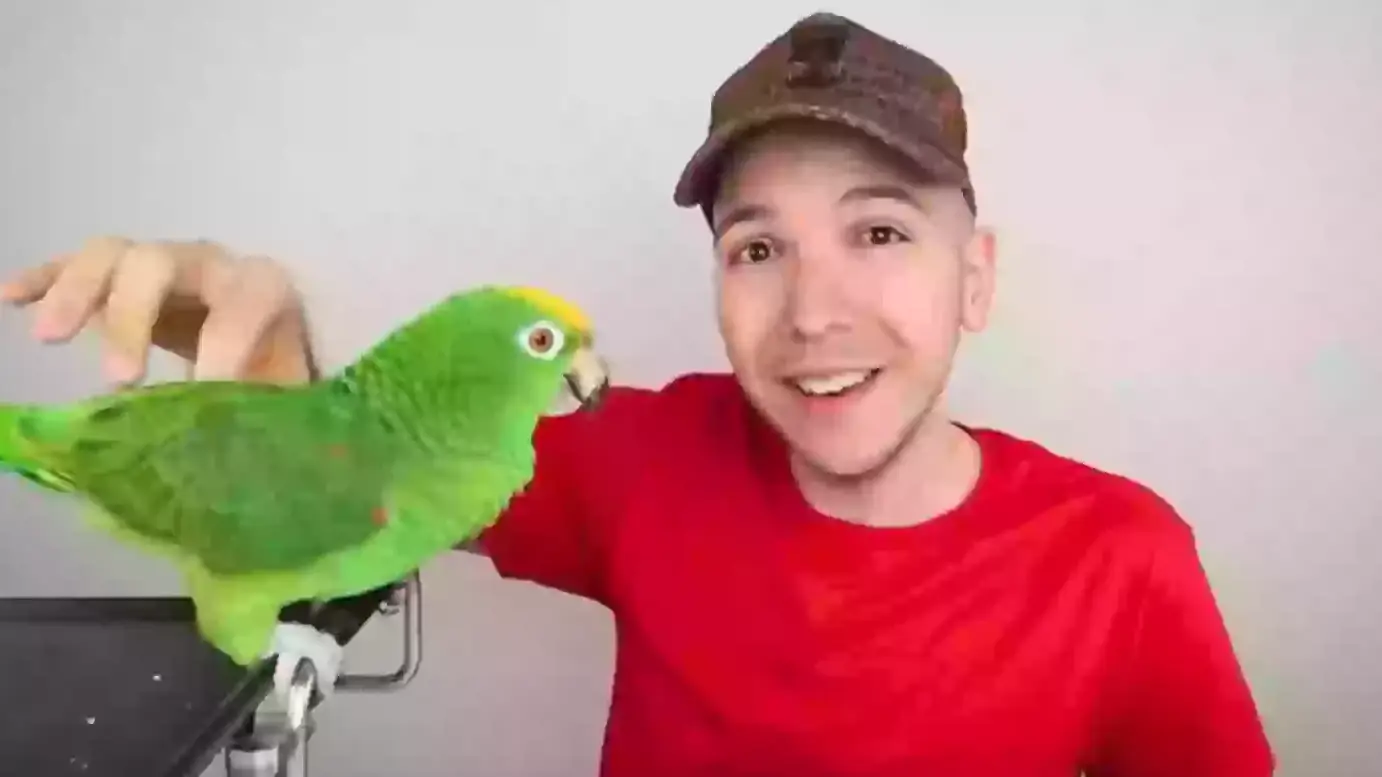 YouTube/Nikocado Avocado