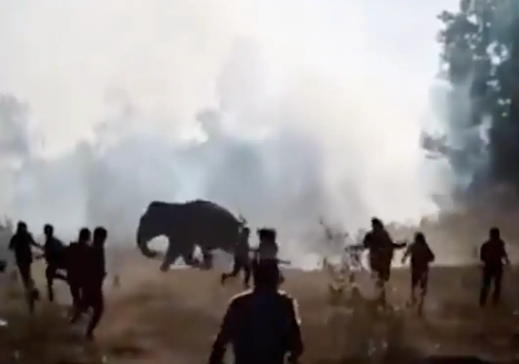 Footage of the elephant attacking locals has circulated online (X)