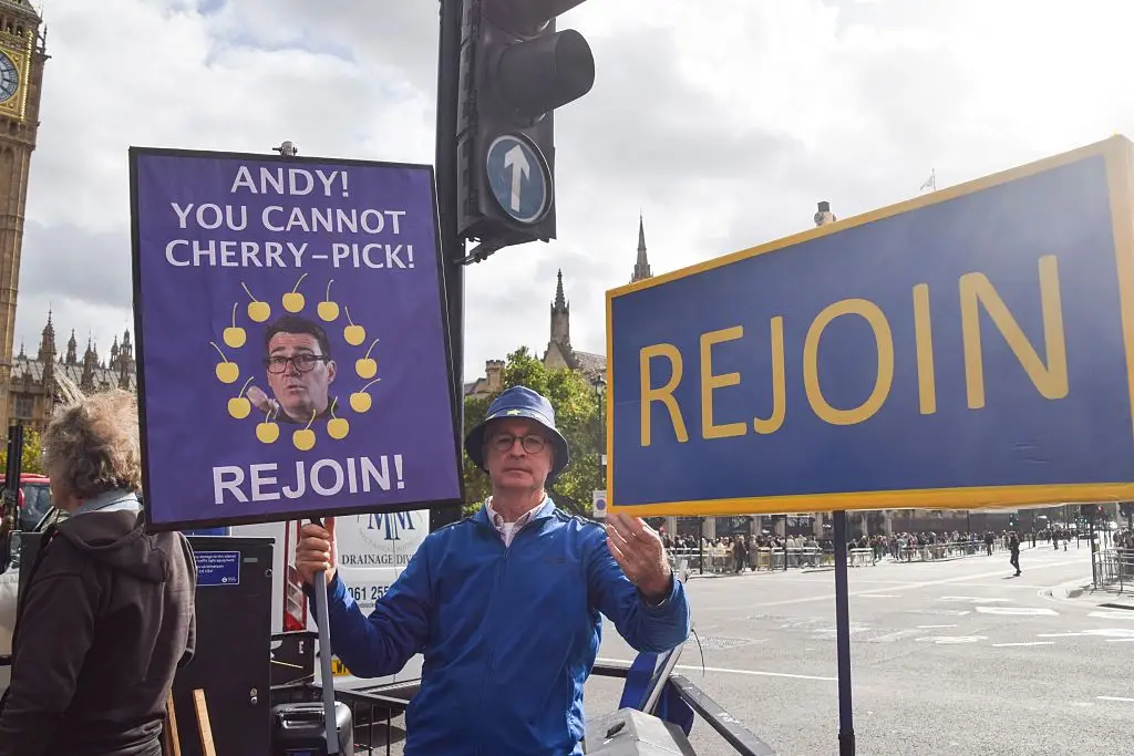 Support for rejoining the EU remains strong (Vuk Valcic/SOPA Images/LightRocket via Getty Images)