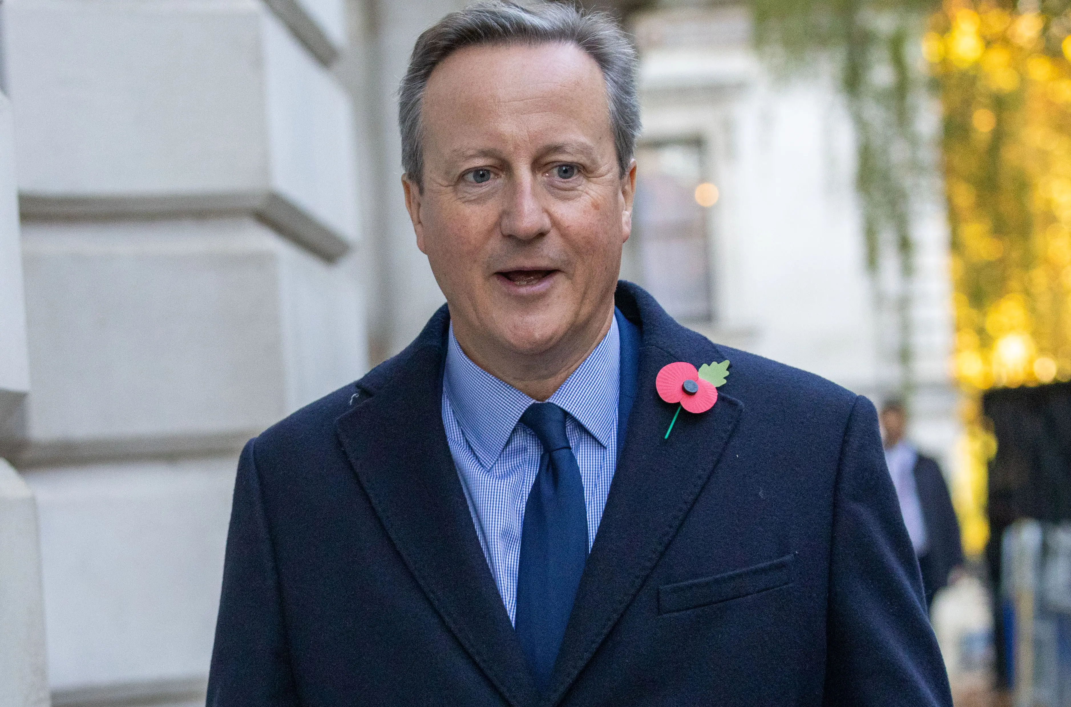 David Cameron, prime minister between 2010 and 2016, is mentioned (Ilyas Tayfun Salci/Anadolu via Getty Images)