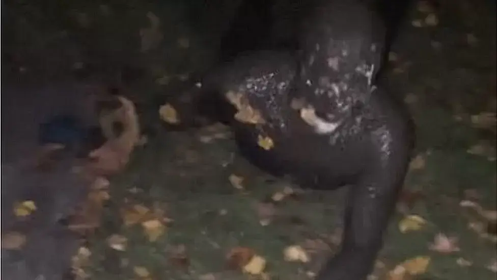 It bears repeating - what is going on here?