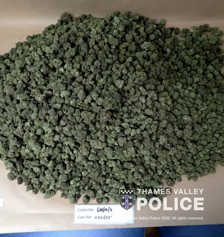 Recovered cannabis (Thames Valley Police)