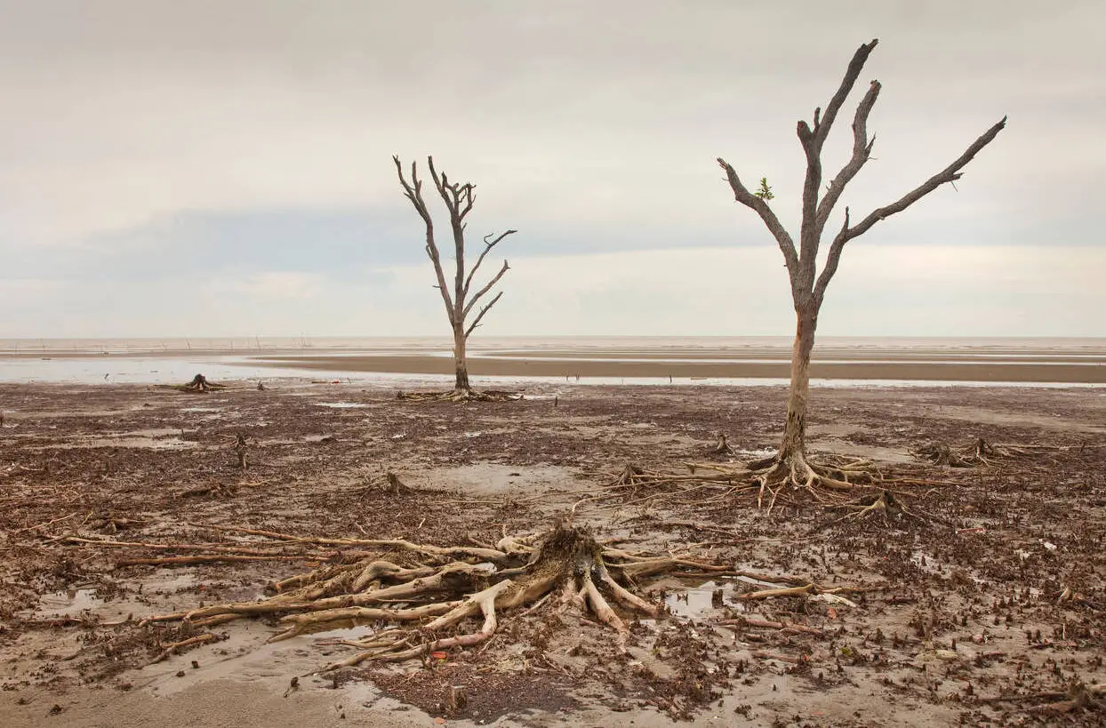 When do you think the world will end?