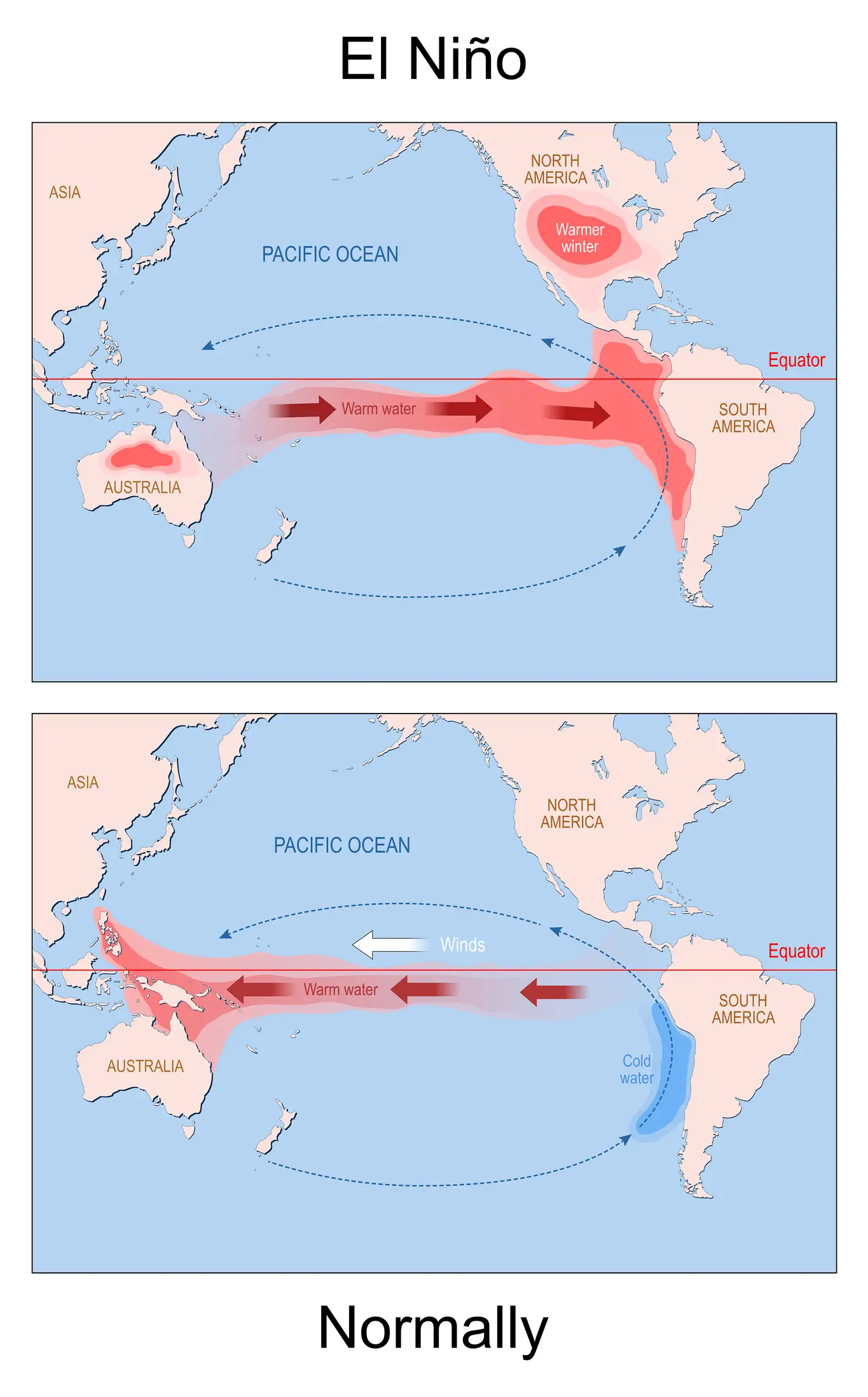 A diagram of how El Niño develops in the Pacific Ocean (Getty Stock Images)