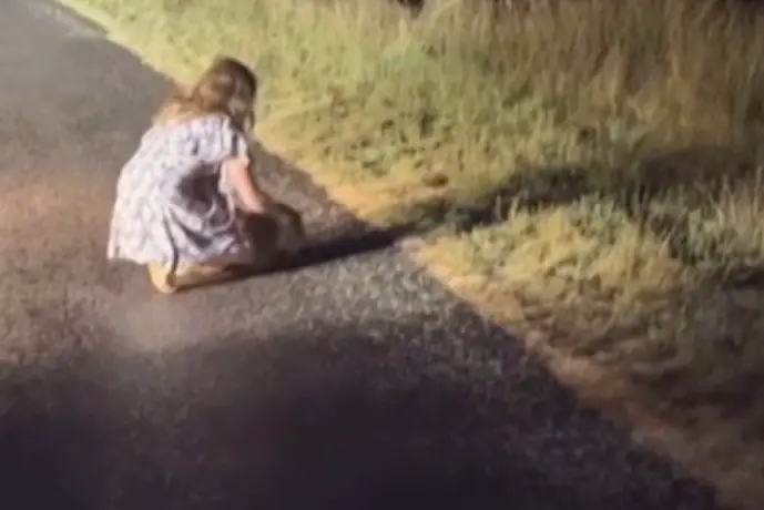 She later returned the joey to the side of the road (Instagram/@samstrays_somewhere)