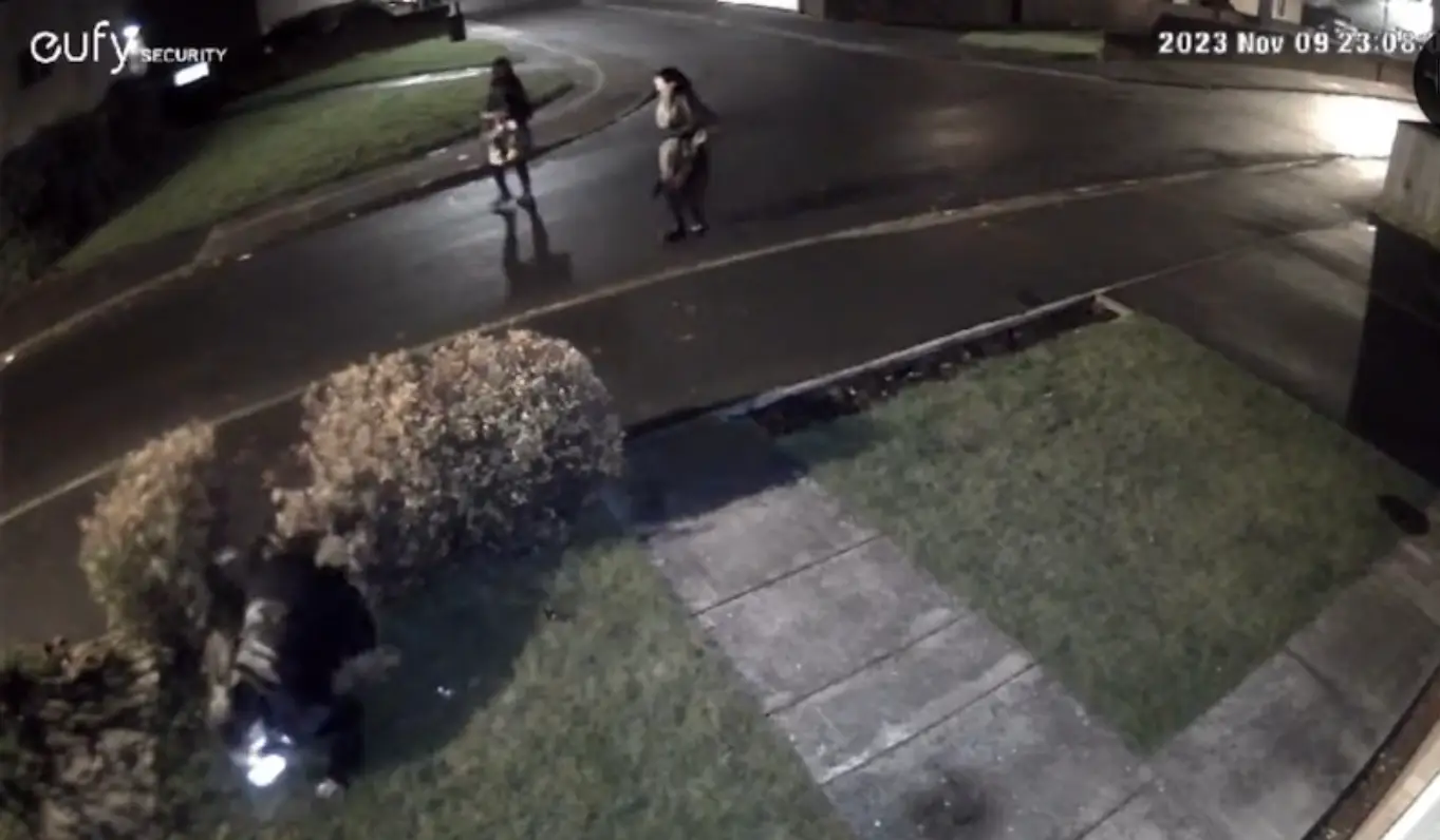 Nicole hilariously crashed straight through the bush while walking home in Newcastle.