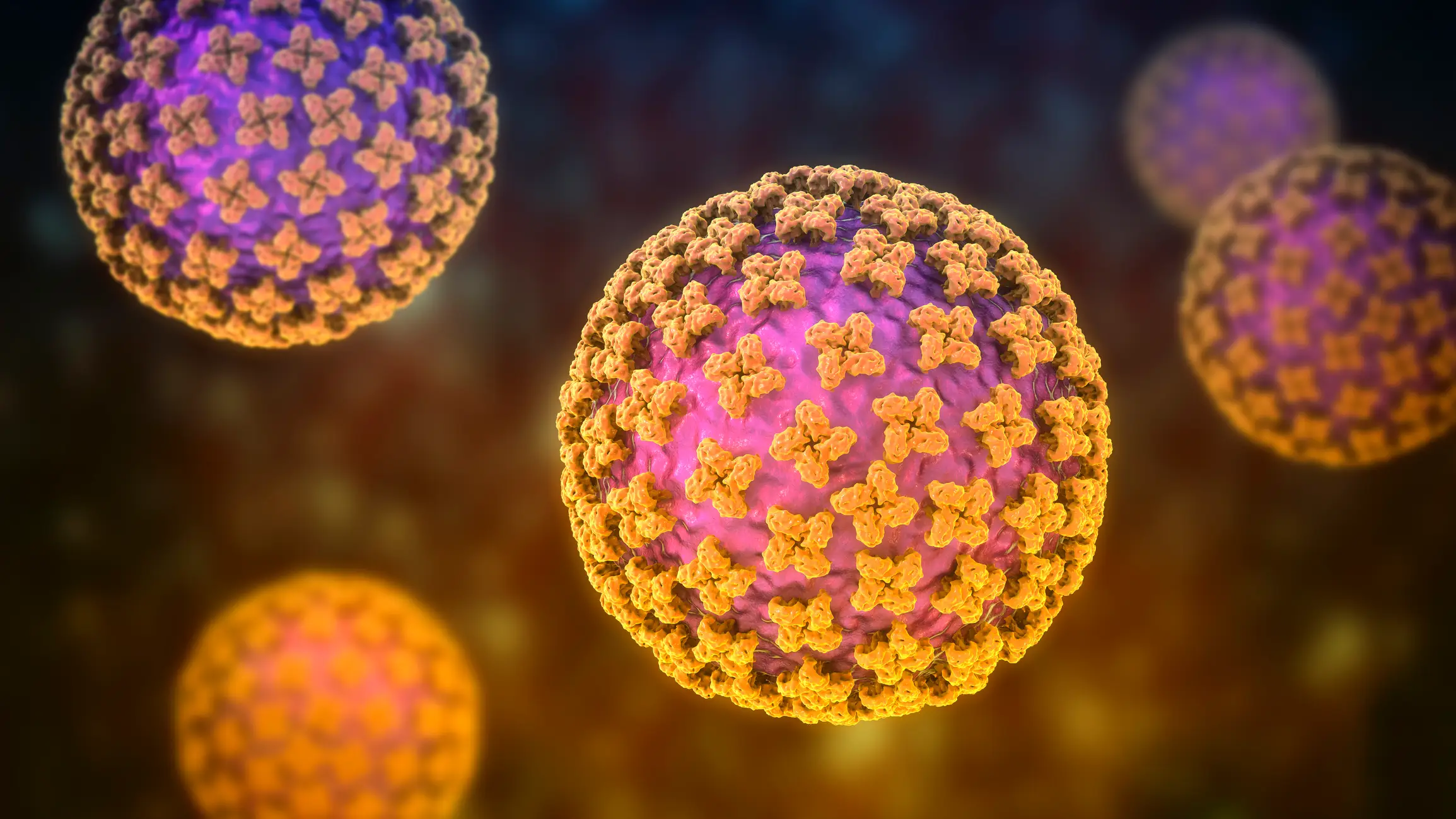 The virus, which is mainly spread through rodents, has up to a 40 percent chance of mortality (Getty Stock Images)