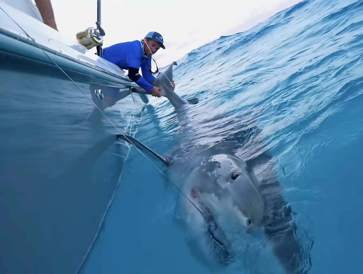 That's a big fella. (YouTube/BlacktipH)