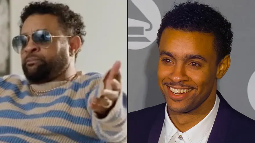 TikTok/direalshaggy/Bob Riha, Jr./Getty Images