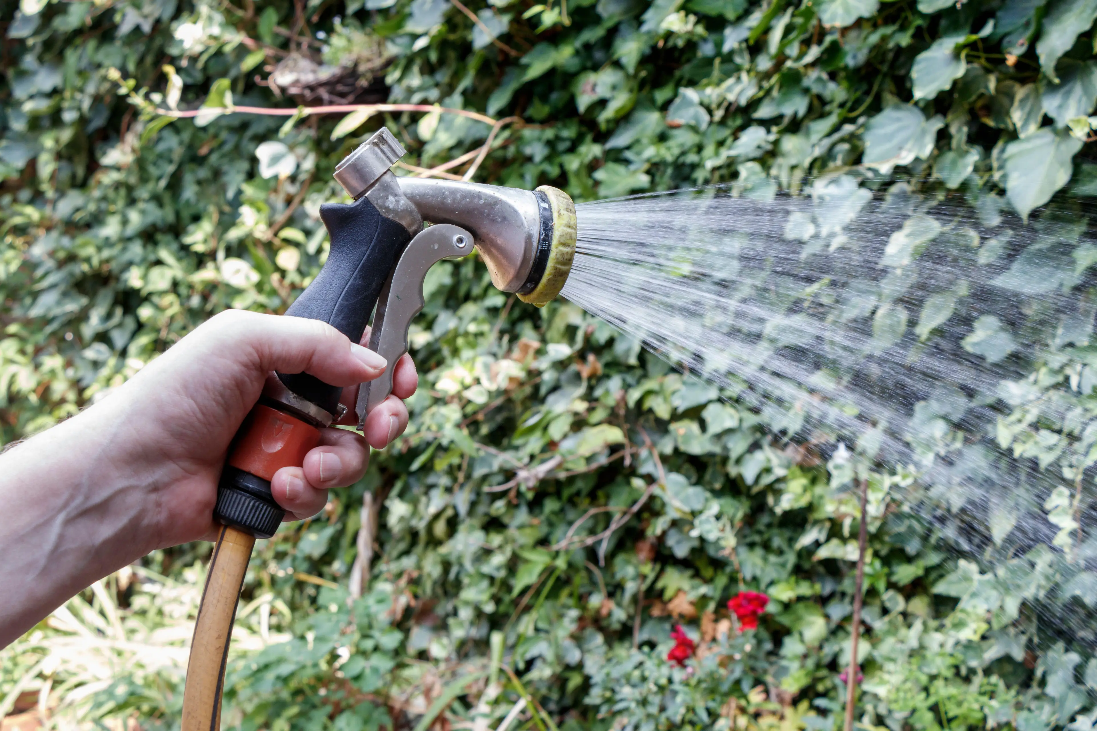 Hosepipe bans have been introduced in parts of the country.