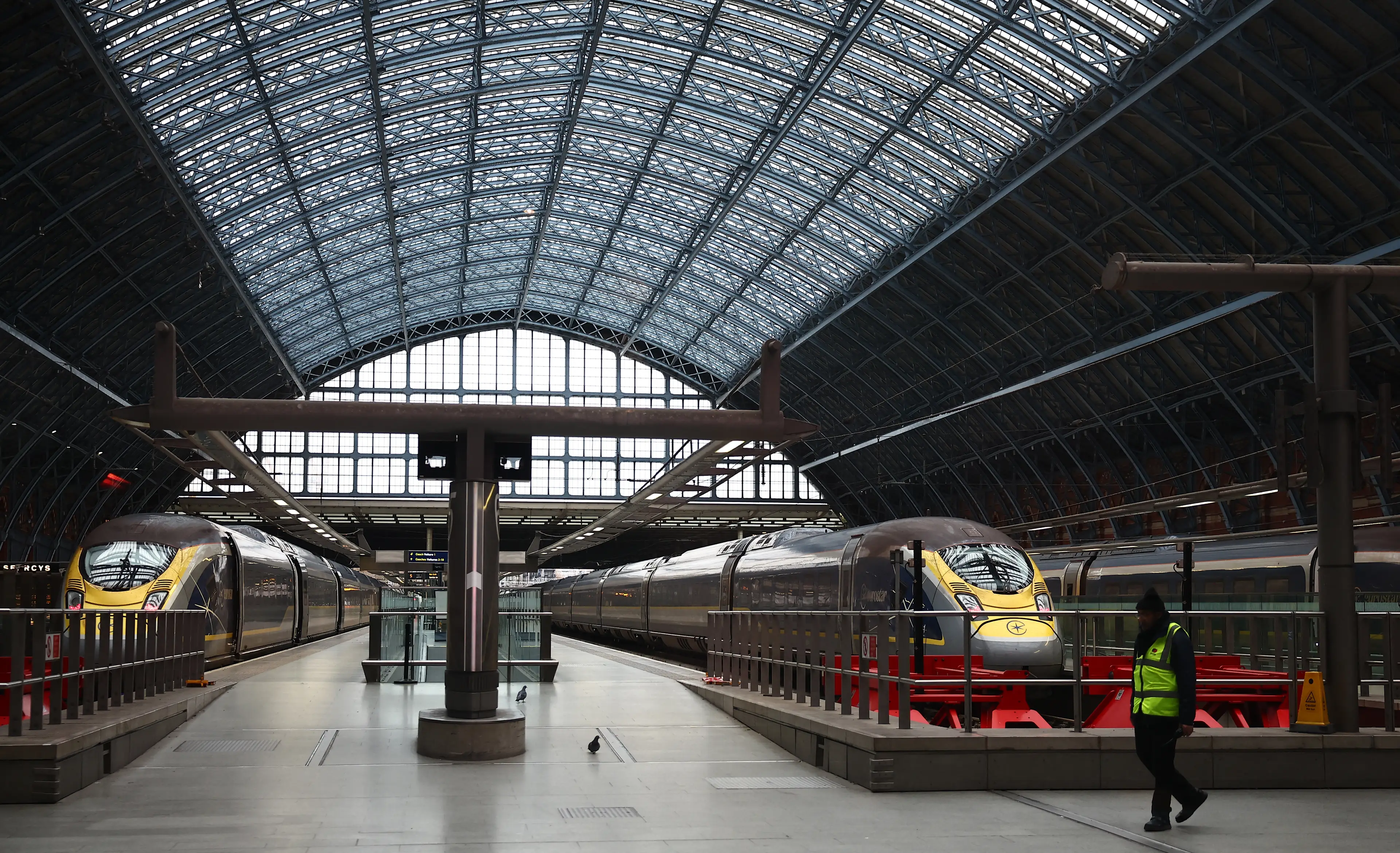 Eurostar trains in St Pancras (HENRY NICHOLLS/AFP via Getty Images)