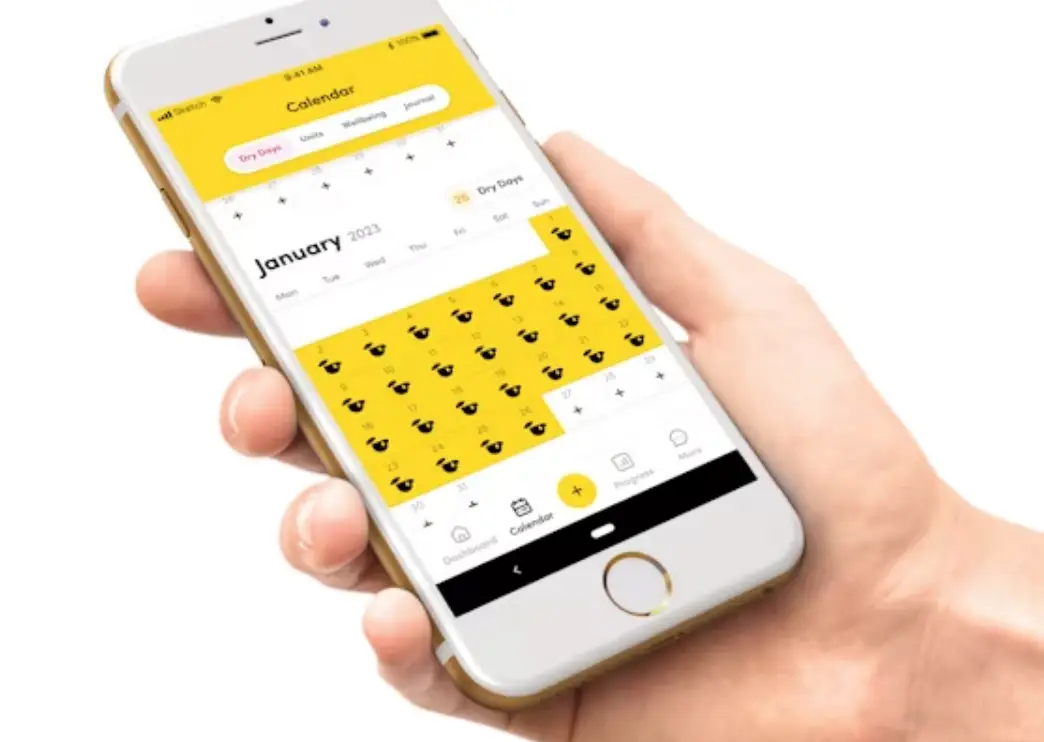 The Try Dry app is not just for Dry January, you might be surprised how much you've accomplished. (Alcohol Change UK)