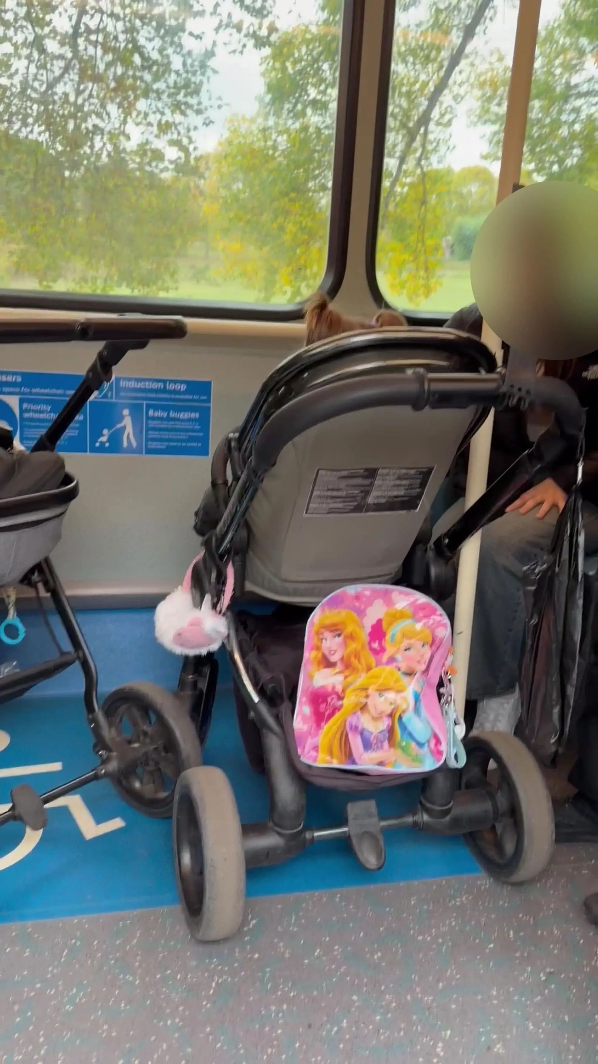 By law, wheelchair users have priority over the space as it is the only place they can travel safely (Kennedy News)