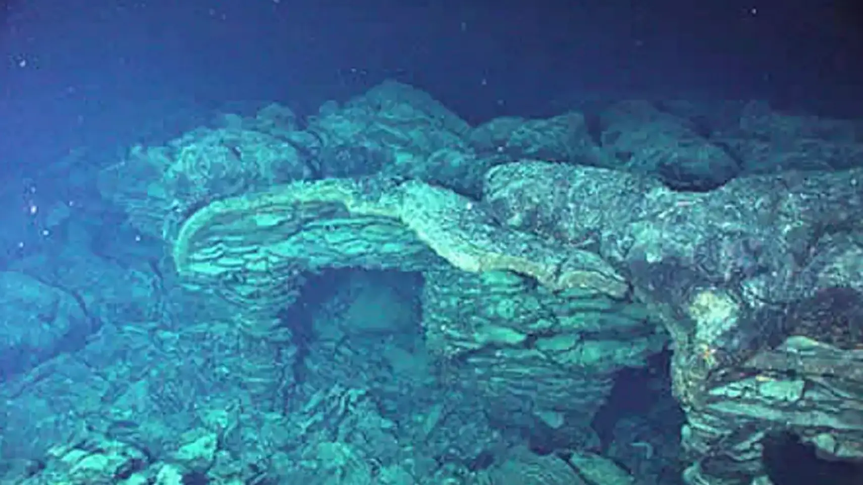 (Smithsonian Institute)