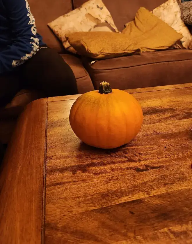 Webb shared a picture of a pumpkin before her death (Facebook / Alice Webb)