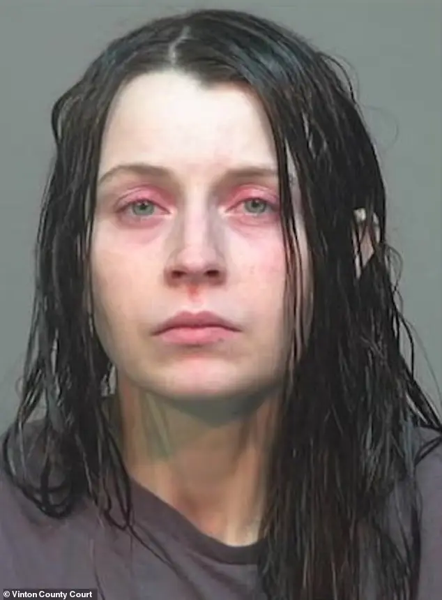 The children's mother (Vinton County Court)