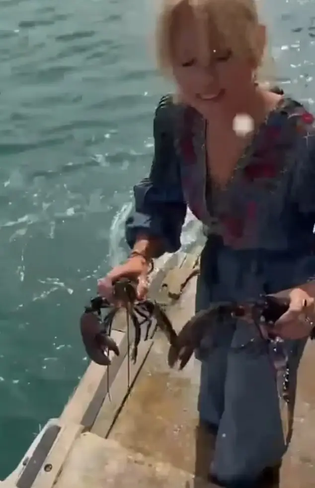 Noel Edmonds and his wife Liz released live lobsters they bought from a farm shop into the sea (Instagram/@noeledmonds.world)