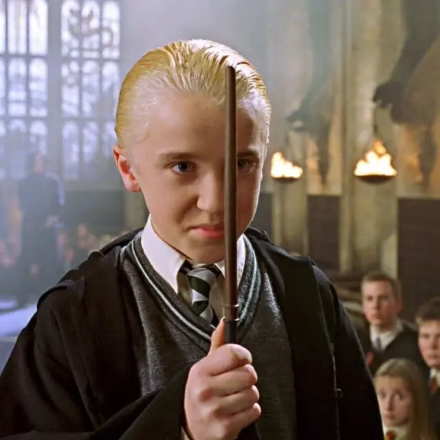 The actor would like to watch himself back when he was his own 'little muggles' (Warner Bros)
