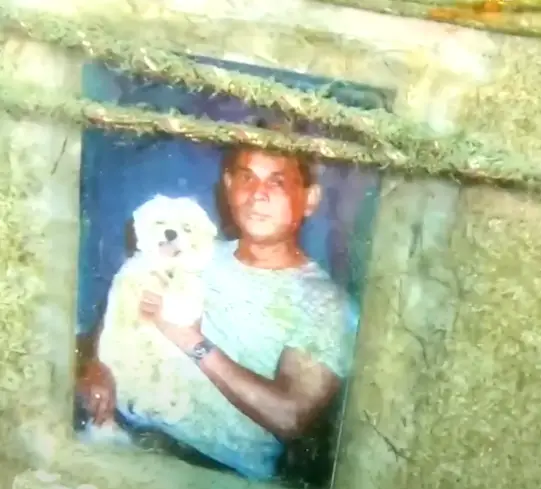 The octopus took her to this headstone. (Jules Casey via Storyful)