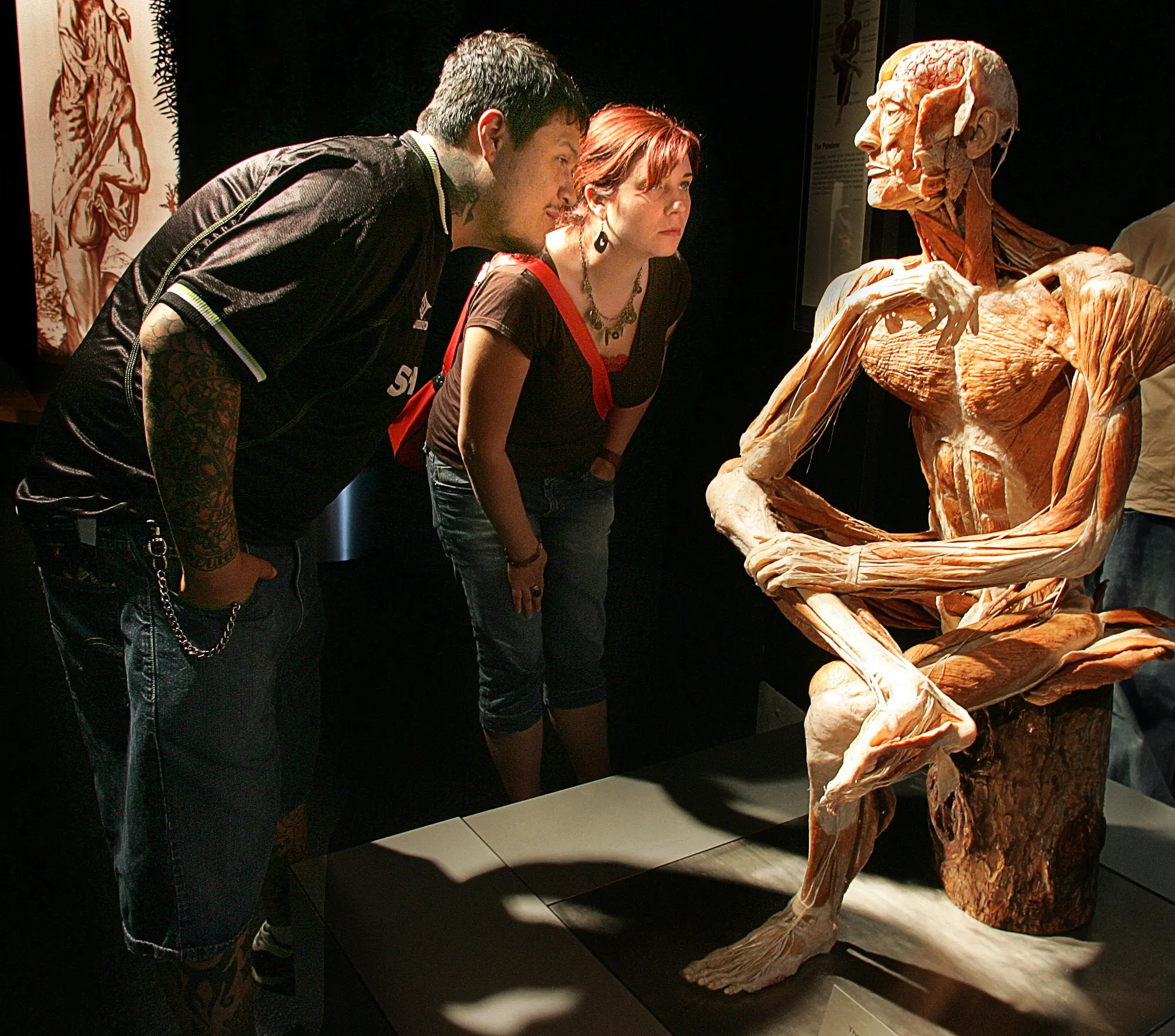 Body Worlds: The Anatomy of Happiness is coming to London this week (Nancy Lane/MediaNews Group/Boston Herald via Getty Images)