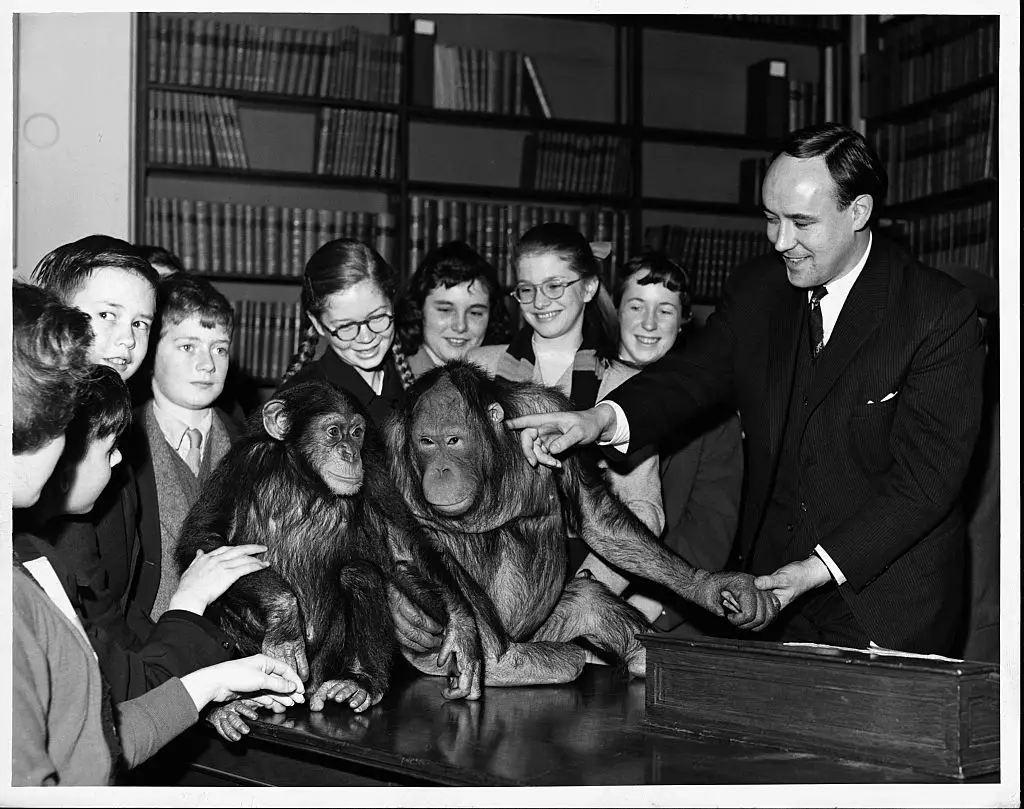 Congo was a chimpanzee who created over 400 pieces of art in his decade of life (Hulton-Deutsch Collection/CORBIS/Corbis via Getty Images)