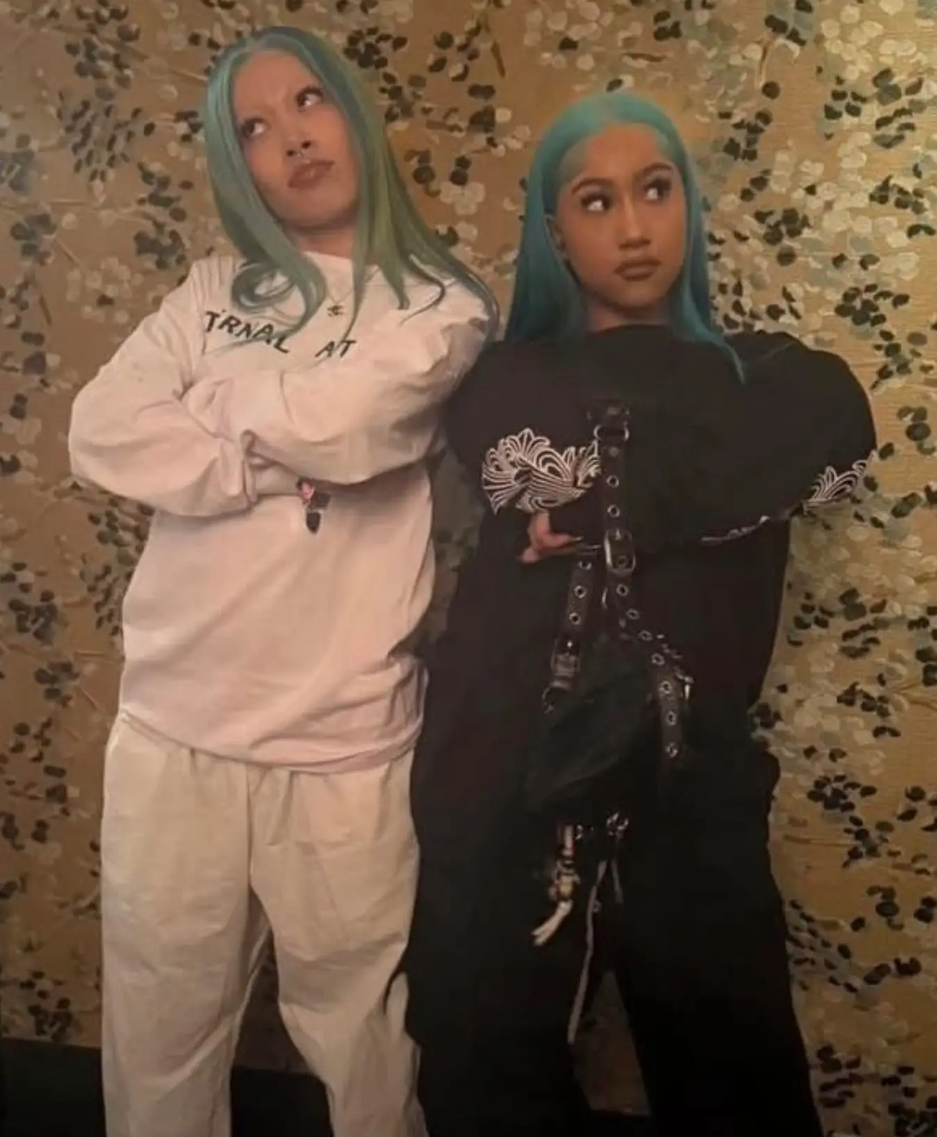 Molly Santana apologised for the last minute cancellation (TikTok)