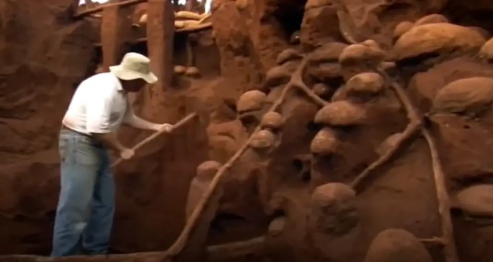 They're quite the builders (Ants! Natures Secret Power)