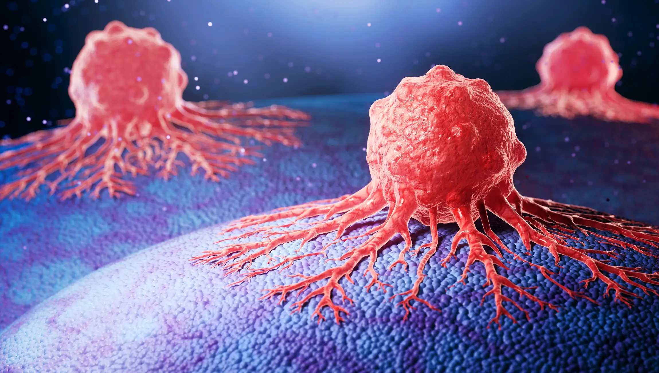 Rare cells were discovered in the blood of those living past 100 (Getty Stock)