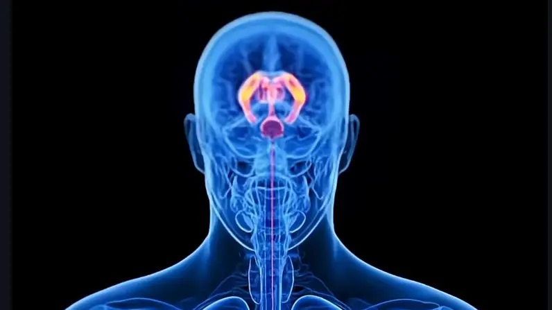 YouTube/GrowFit Health