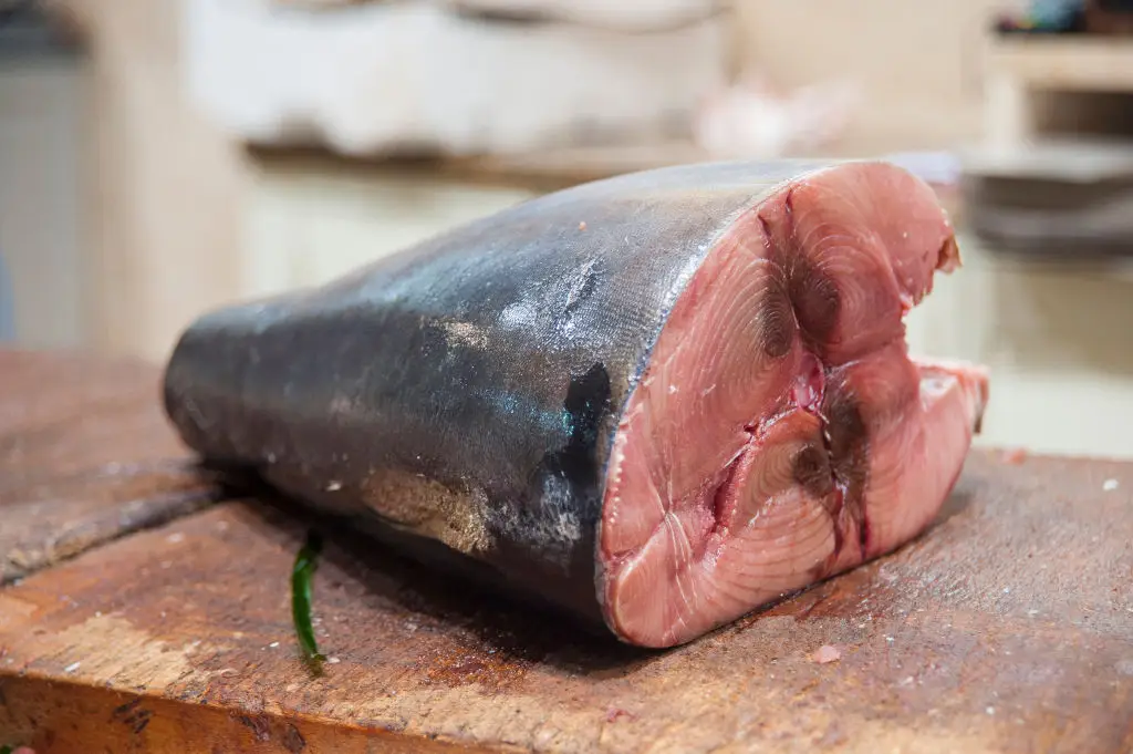 Bluefin tuna is highly prized (Enrico Spanu/REDA/Universal Images Group via Getty Images)
