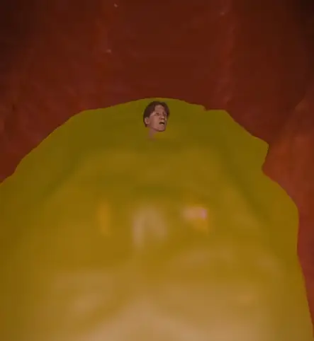 What would happen if you were swallowed by a whale? (YouTube/zachdfilms)