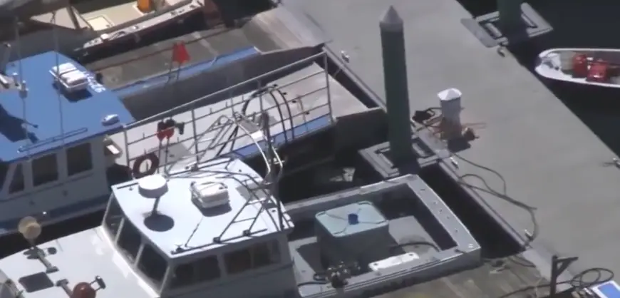 The incident occurred on a normal working day in June.