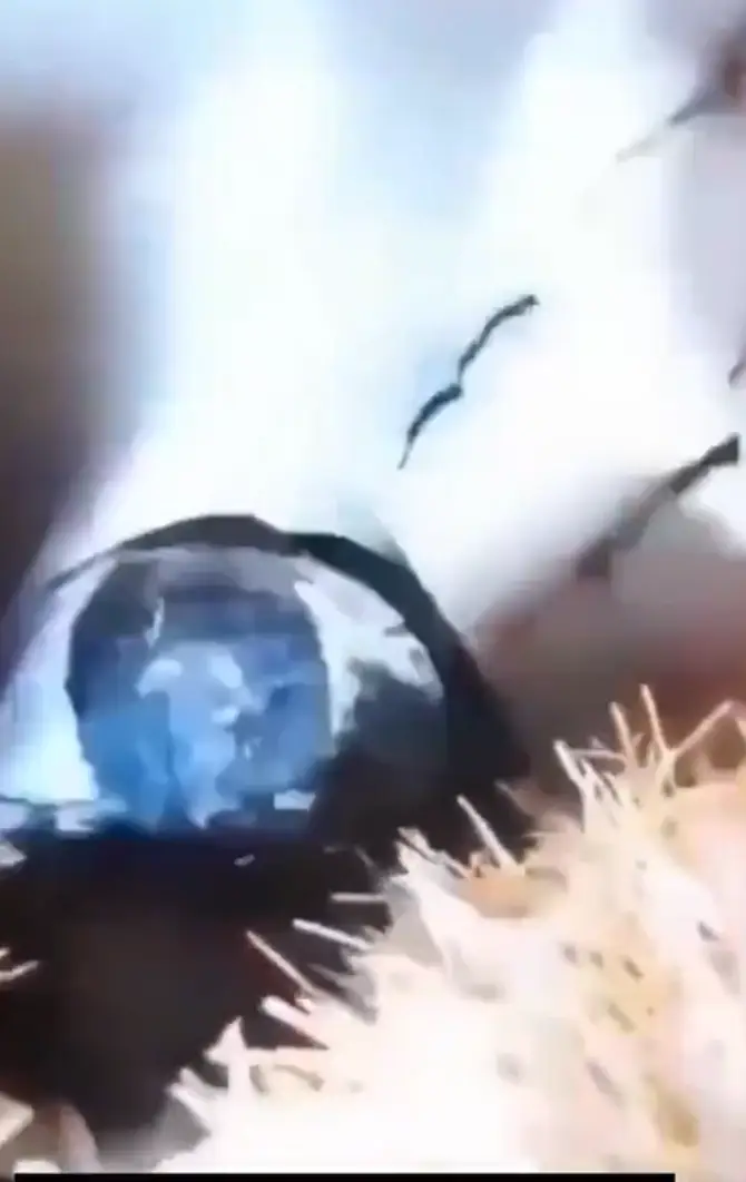 Officials say that the 'perpetrator of this heinous crime' worked as a civil servant. (X)