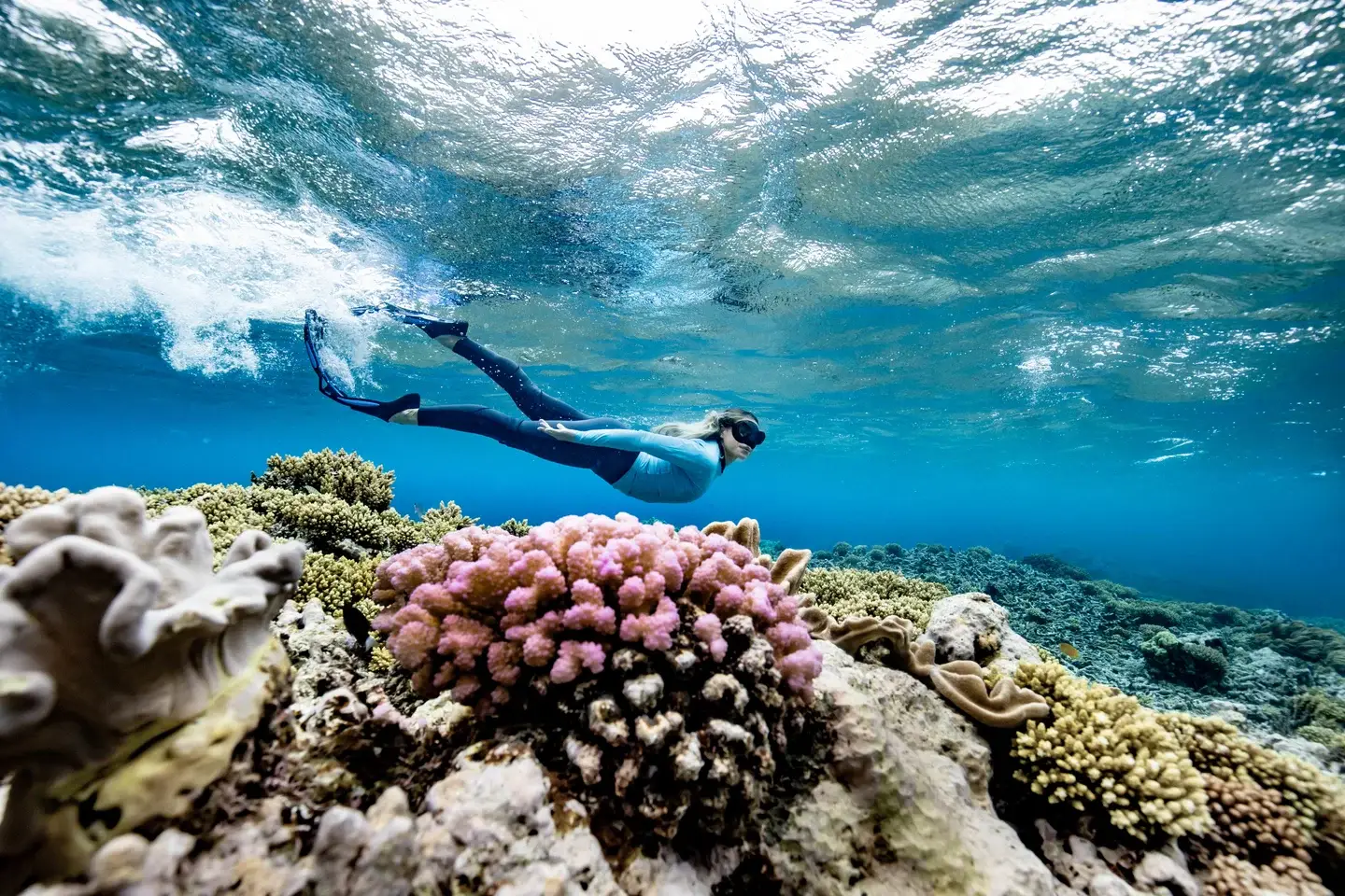 Cairns is the gateway to the Great Barrier Reef, so an excellent place to start your adventure (Tourism Tropical North Queensland)