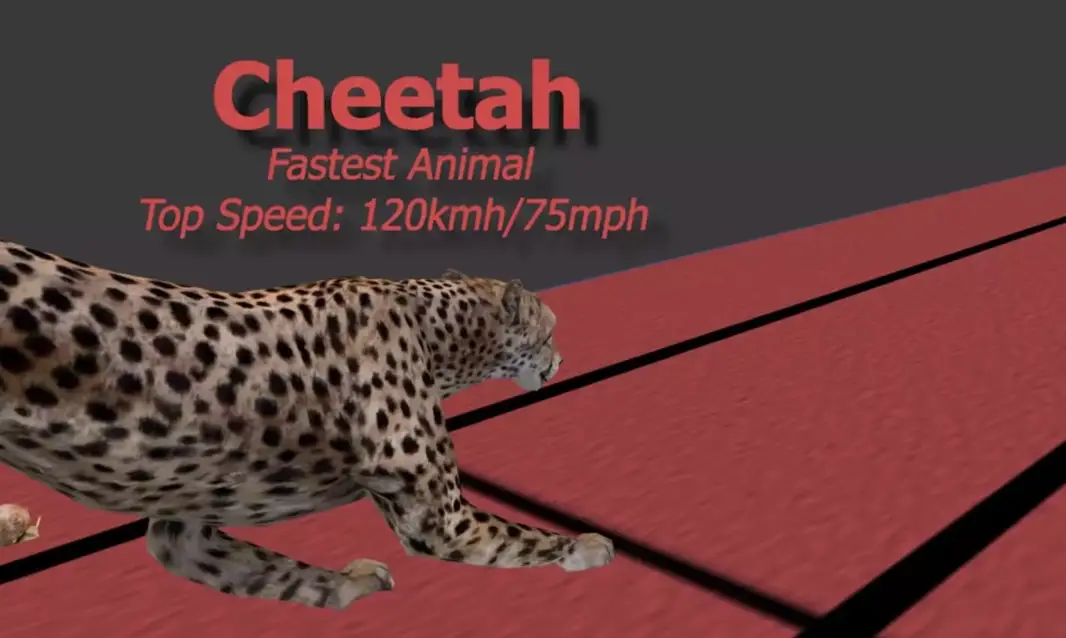 The cheetah came out on top (Reigarw Comparisons/YouTube)