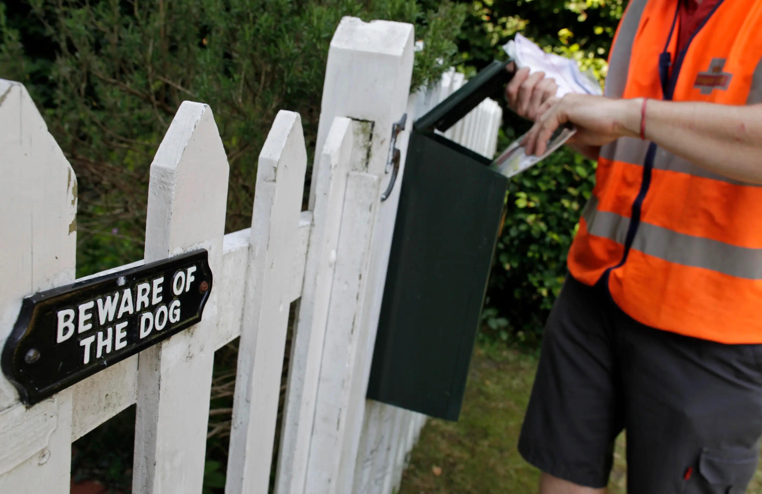 There are different measures dog owners can take. (Simon Dawson/Bloomberg via Getty Images)