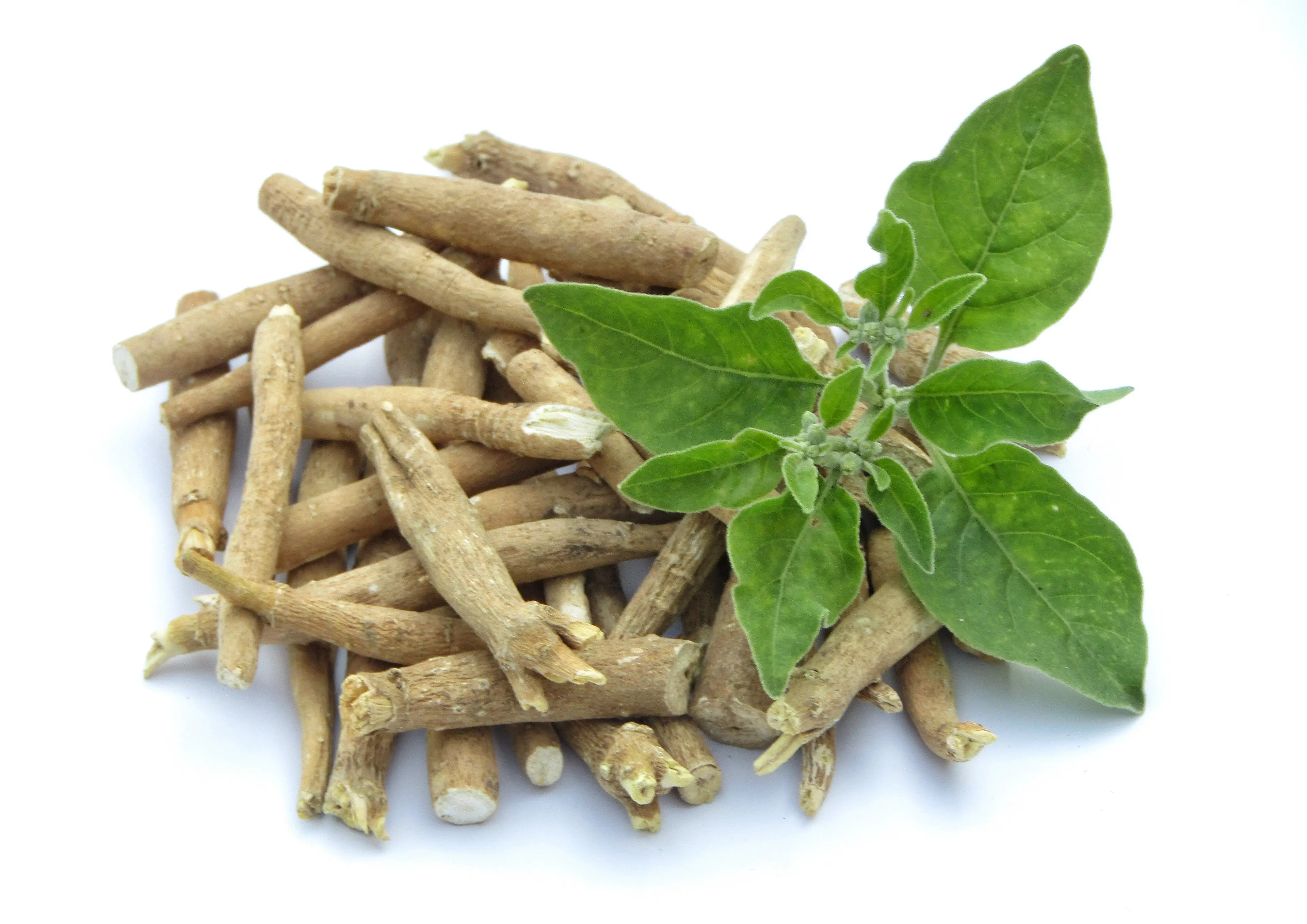 Ashwagandha roots and leaves (Getty Stock Images)