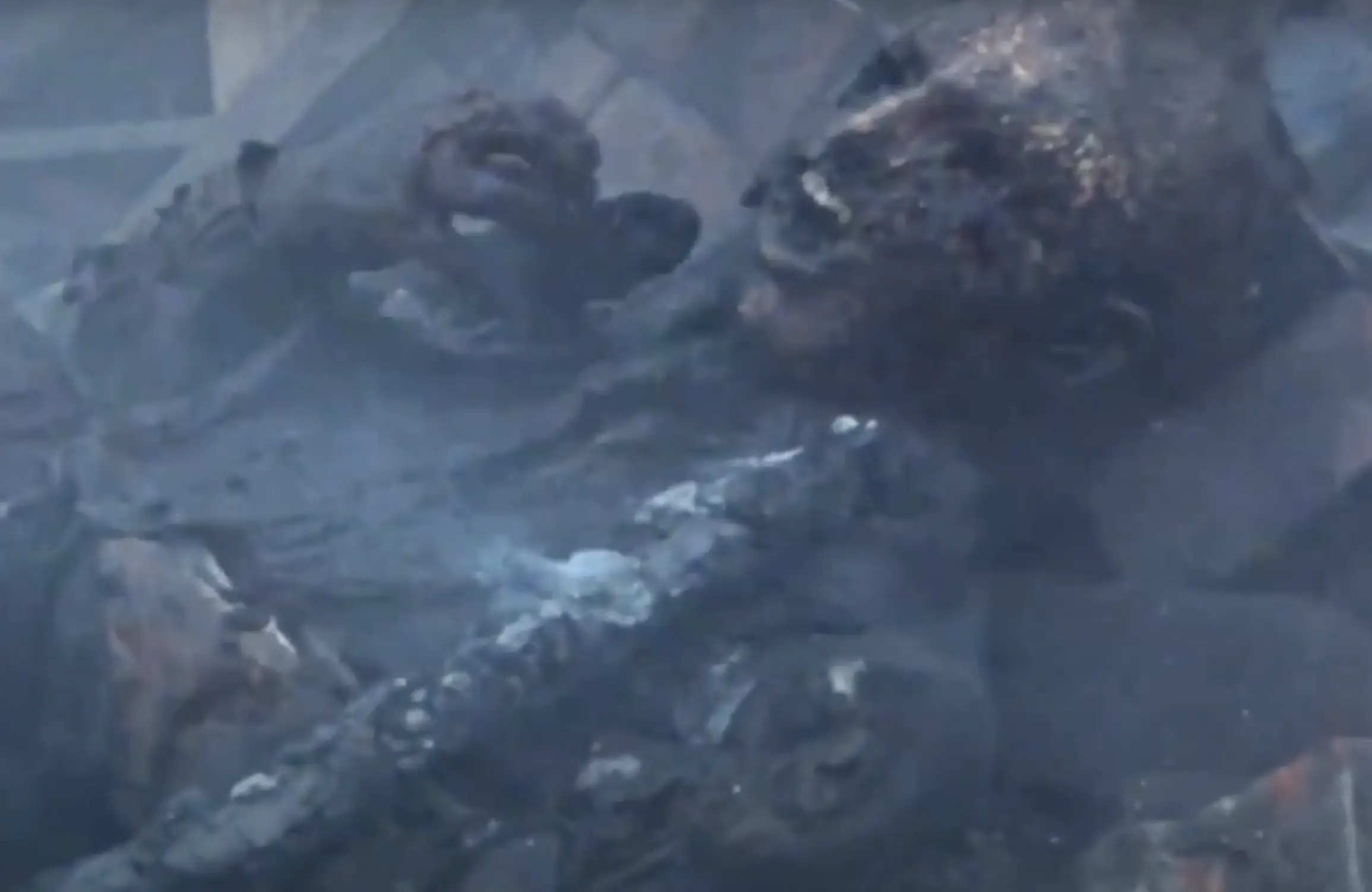 The film is airing for just the 4th time tonight (BBC)