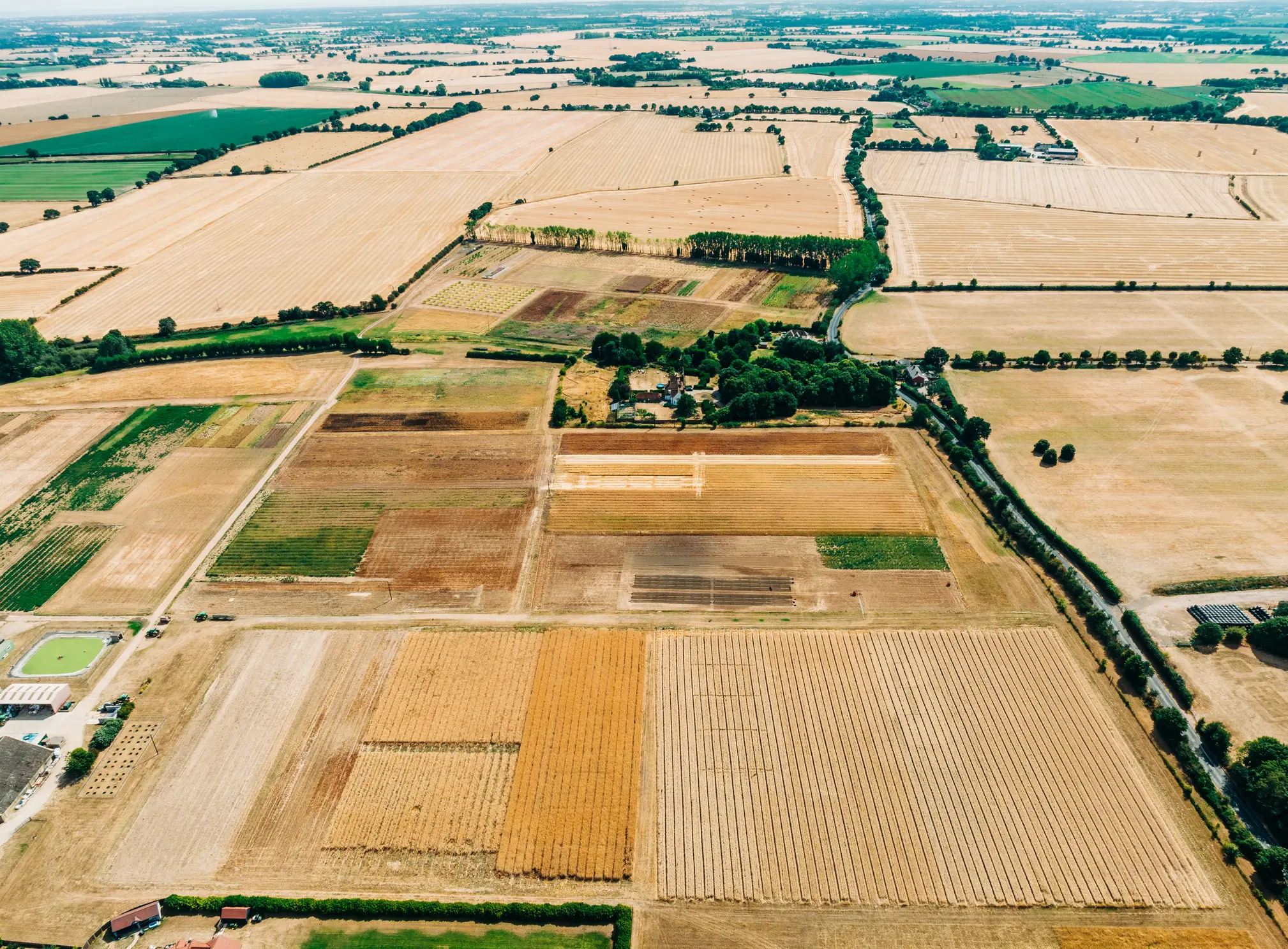 The UK has faced drought (Getty Images)