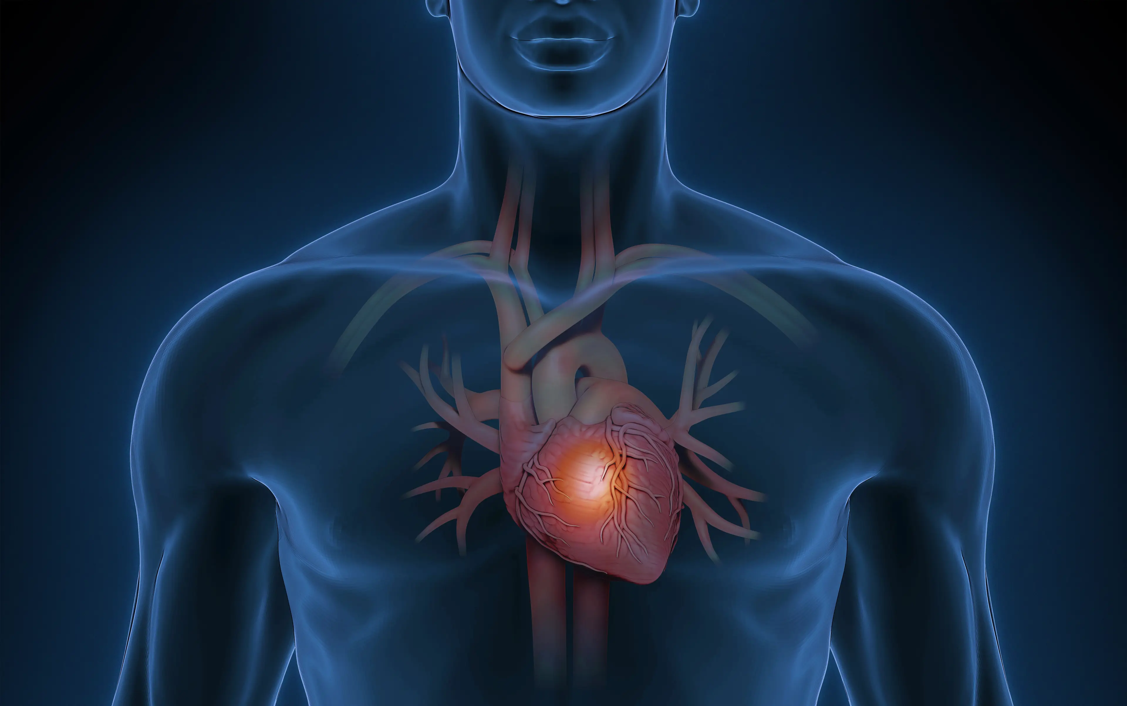 Blokes who have sex twice a week had healthier tickers, according to the research (Getty Stock Photo)