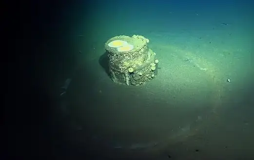 The barrels have a strange halo (Schmidt Ocean Institute)